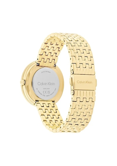 Calvin Klein Ck25100066 Kadın Kol Saati