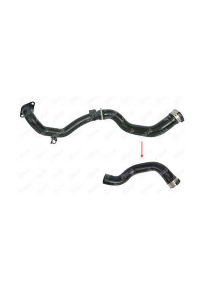 Turbo Hortum Ve Conta - Fiat 500, Tipo, Egea - Ibras-13116