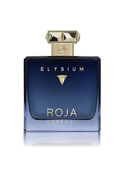 Roja Elysium Pour Homme Edp 100ml Diğer