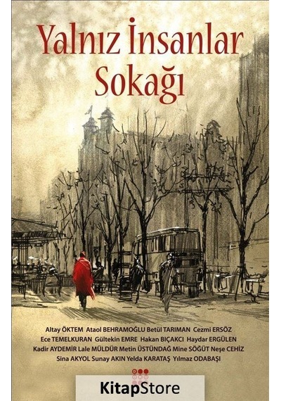 Yalnız İnsanlar Sokağı- Dokuz Yayınları
