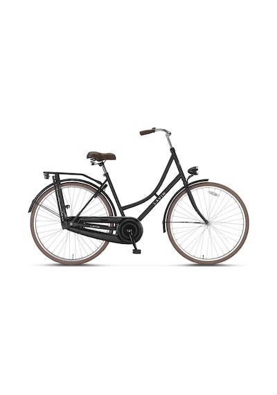 Lavın 2887 Zwart Kadın Şehir Bisikleti Basıc Kontra Pedal 520h 28 Siyah