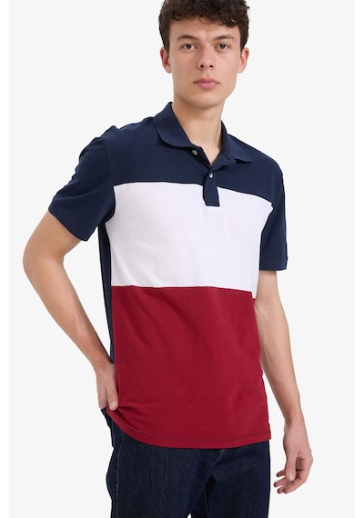 DeFacto %100 Pamuk Regular Fit Polo Yaka Bloklu Kısa Kollu Tişört D7940AX25SPNV135