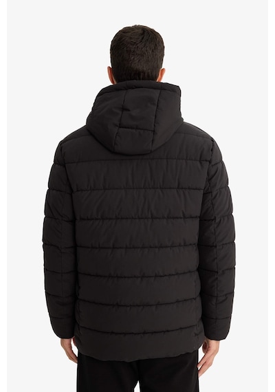 Defacto Su İtici Slim Fit Dar Kesim Astarlı Kapüşonlu Fermuarlı Cepli Dolgulu Mont R0216az25aubk27 Siyah-bk27