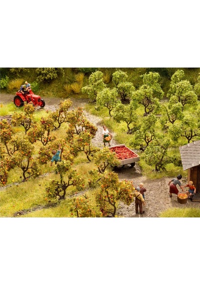 Noch 21537 Bodur Elma Ağaçları, 24 Adet, 2 Cm., Diorama Malzemesi-59340