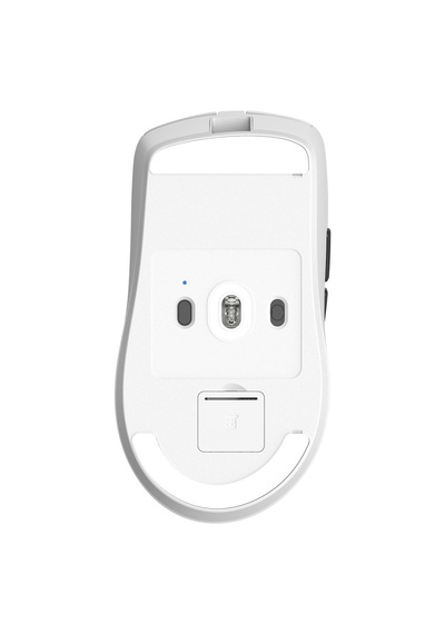 Thunderobot Ml6 Pro 8k Te Edition White Pixart 3950 Sensör Kablosuz Gaming Mouse