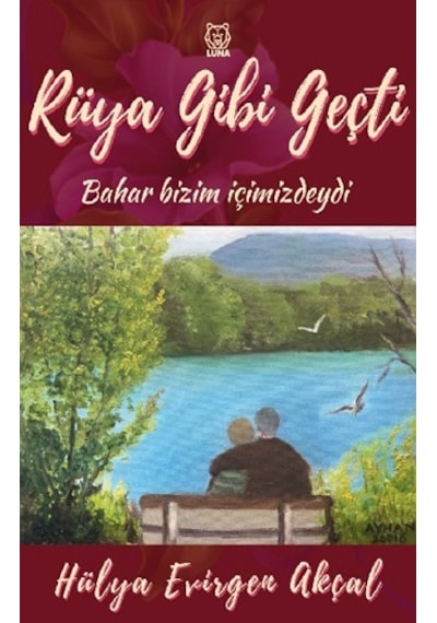 Rüya Gibi Geçti - Hülya Evirgen Akçal - Luna Yayınları