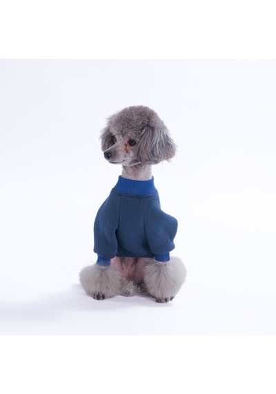 Lacivert Eeyore Creek Köpek Sweatshirt Köpek Sweat Köpek Kıyafeti Kedi Kıyafeti