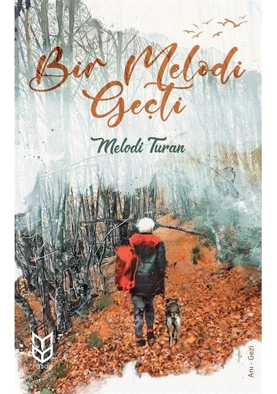 Bir Melodi Geçti - Melodi Turan - Yason Yayıncılık