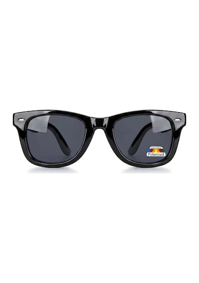Wayfarer Yaylı Menteşe Polarize Cam Unisex Güneş Gözlüğü Çok Renkli