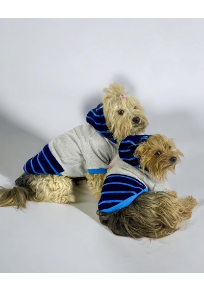 Blue Line Kapşonlu Sweatshirt Köpek Kıyafeti Köpek Elbisesi
