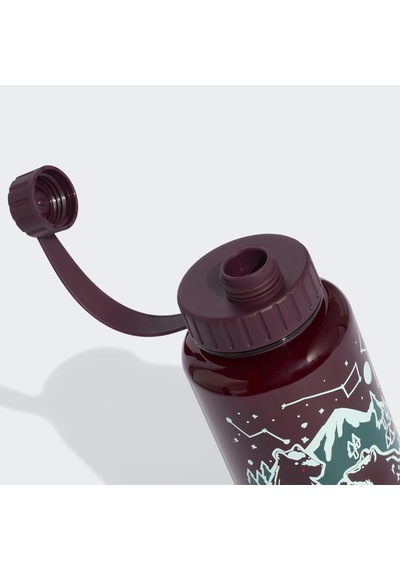 Adidas Terrex Bordo Su Şişesi Kq6945