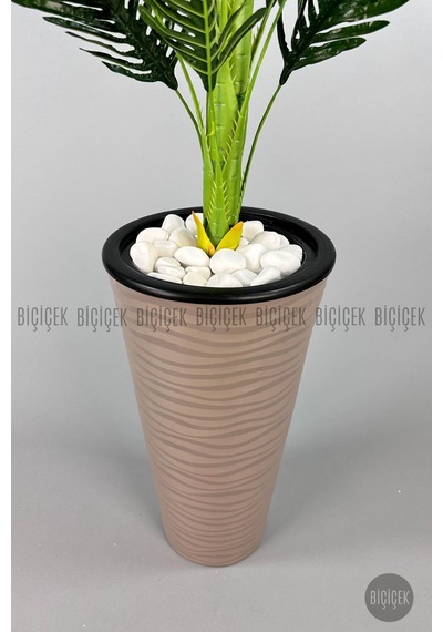 Biçiçek Areka Ağaci 150 Cm Mocha Kumsal Saksıda Tek Gövdeli̇