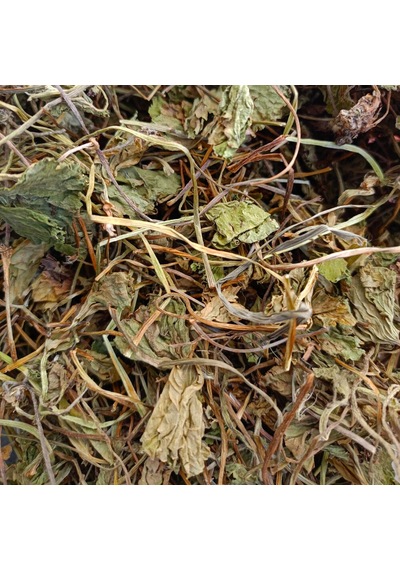 Gotu Kola Centella Asiatica 20 Gr