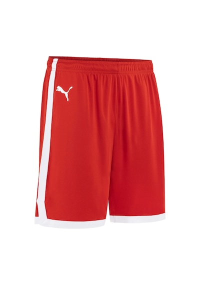 Puma Türkiye Erkek Game Basketbol Şortu 606605 02
