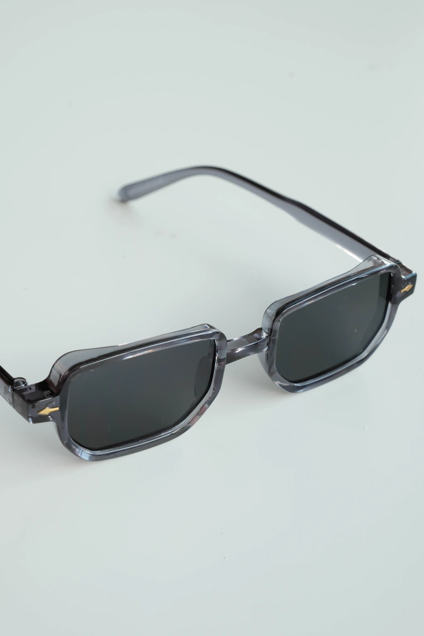 Royal Eyewear Re1022 Parlak Gri Güneş Gözlüğü Siyah - Mavi