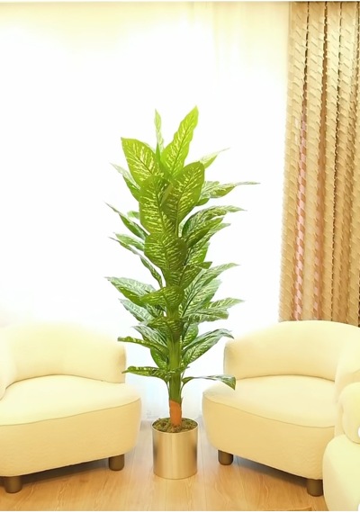 Rüzgar Yapay Çiçekçilik 170 Cm Difenbahya 25x25 Silver Saksı Yeşil