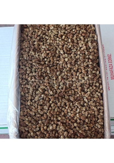 Toptan Yerli Orta Kalite Dut Kurusu 11 Kg Diğer