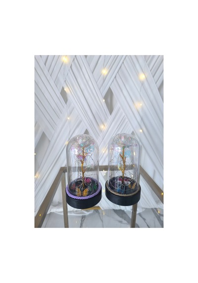 Ledli Fanus İçinde Sonsuzluk Gülü Çok Renkli - 738403598 Çok Renkli