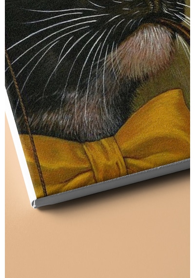 Webstyle Sayılarla Boyama Seti Kasnaklı Gözlüklü Kedi 60 X 75 Cm