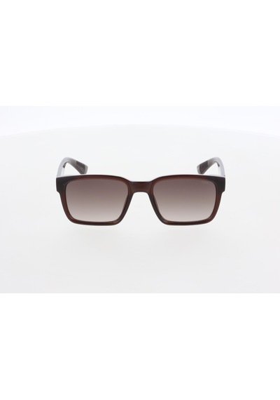 Hawk Hw2312 02 Unisex Güneş Gözlüğü Kahverengi