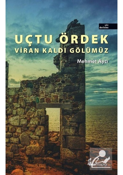 Uçtu Ördek Viran Kaldı Gölümüz - Mehmet Aycı - Okur Kitaplığı