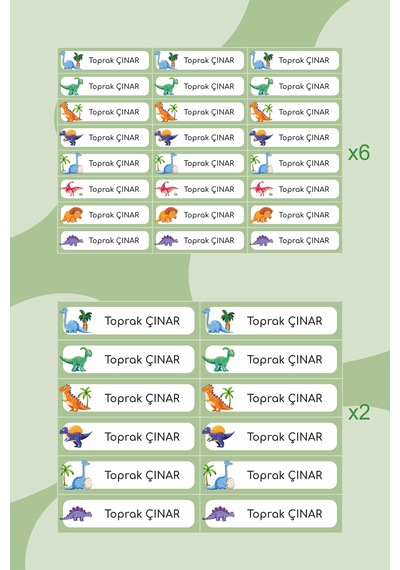Dinozor Temalı Isimli Okul Etiketi Defter Kitap Kalem Sticker Set