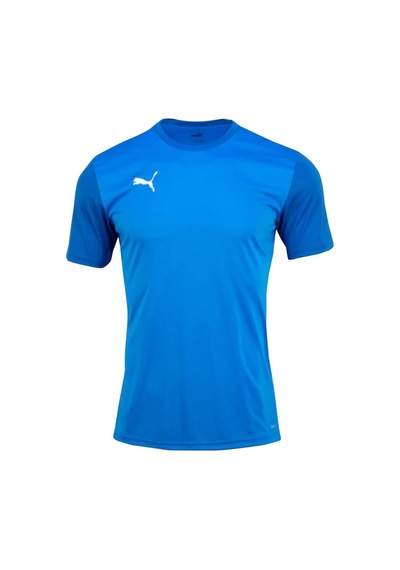Puma Teamgoal Erkek Futbol Tişörtü 65648402 Mavi