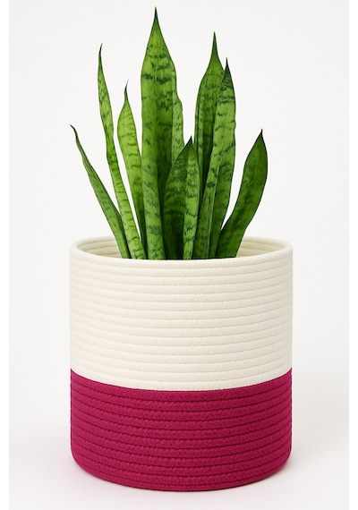 Mavaux Dekoratif Jüt Saplı Hasır Sepet Saksı 20cm X 20 Cm, Jüt Bej Saksılık, Dekoratif Saksı Ve Havluluk Fuşya