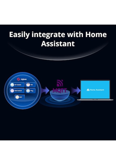 Zigbee Bridge Max Matter Destekli Bridge-m Genel