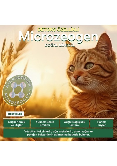 Senior Kümes Hayvanlı Yaşlı Kedi Maması 400 Gr