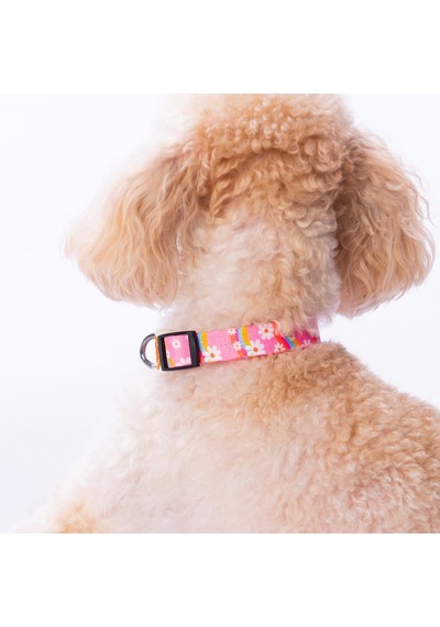 Daisy Papatya Desenli Köpek Boyun Tasması Ayarlanabilir Köpek Tasması S Pembe