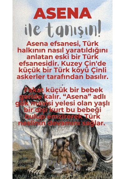 Petjoo 25.Asena Gri-Kırmızı Qr'lı Köpek Künyesi