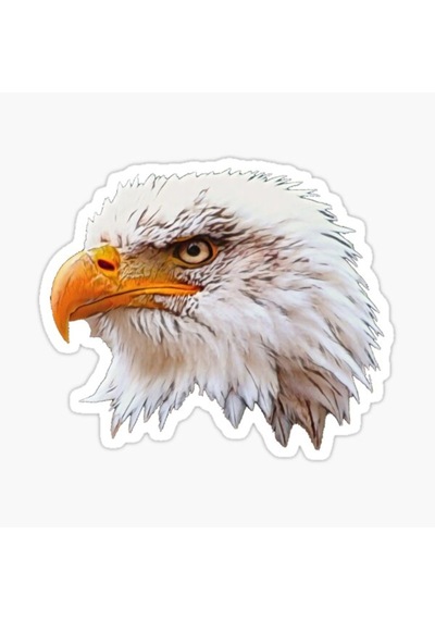Araba Için Kartal Oto Sticker Yapıştırması Etiket 17Cm R7