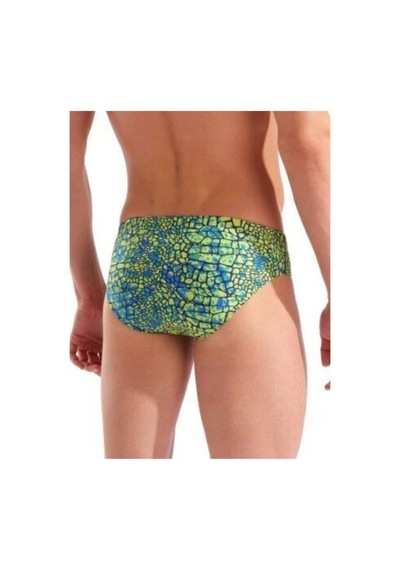 Arena Erkek Slip Mayo Men's Snakeskın Swım Brıefs 010162506 Yeşil Yeşil