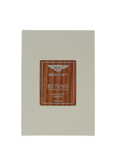 Beyond The Collection Magnetic Amber Edp 100 Ml