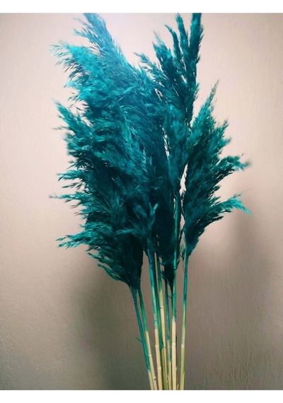 8'li Büyük Demet Pampas Turkuaz 100cm Boyunda