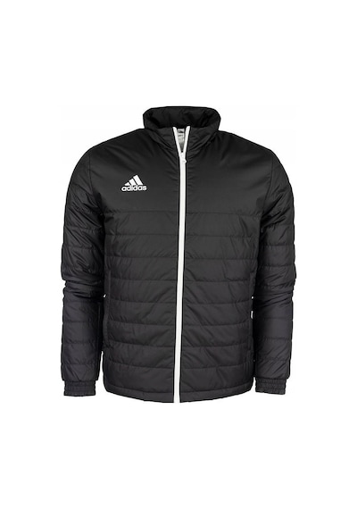 Adidas Erkek Mont Ent22 Ljkt Ib6070 001