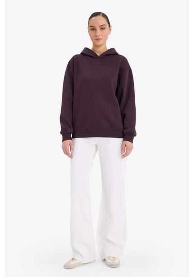 Defacto Relax Fit Kapüşonlu Basic Düz Kalın Sweatshirt D9935ax25wnpr38 Mor-pr38