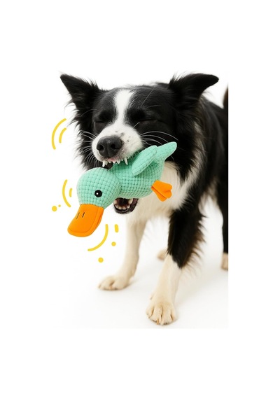 Köpek Oyuncağı Ördek Şekilli Peluş Sesli Ve Hışırtılı Dayanıklı Çiğneme Ve Isırma Oyuncağı Anti Stres Yumuşak Peluş Köpek Eğitim Ve Oyun Oyuncağı Yeşil