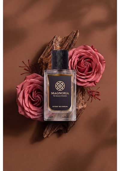 Ombre Nomade 50 Ml Erkek Parfüm Odunsu