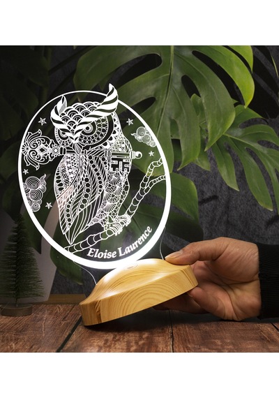 Baykuş Kişiye Özel Led Lamba, Baykuş Tasarımlı 3D Gece Lambası