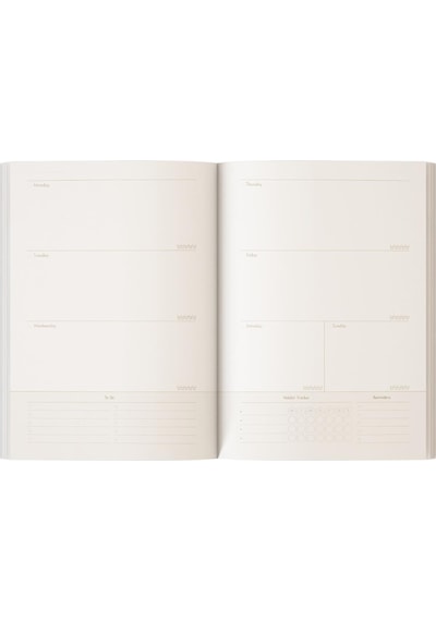 Metalik Süresiz Planlayıcı More 17x24 Çok Renkli