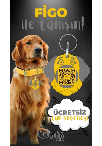 Petjoo 27.Figo Gri-Sarı Qr'lı Köpek Künyesi