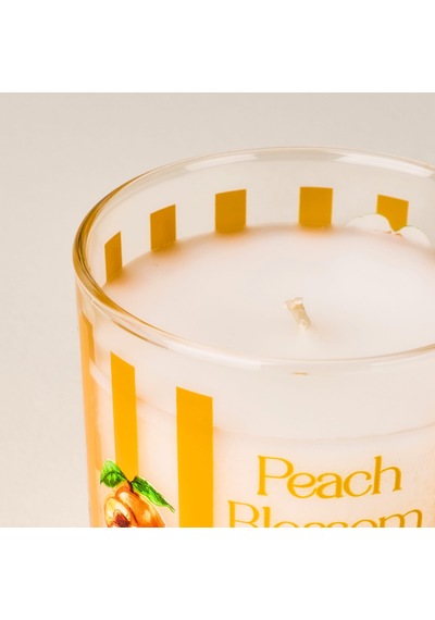 Deco Peach Blossom Bardak Mum - Renkli - 190 Gr Çok Renkli