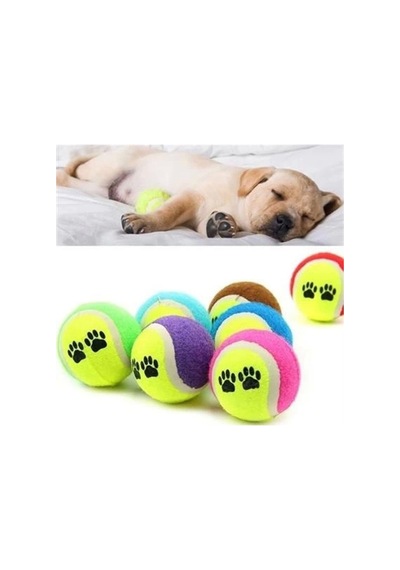 Tenis Topu Köpek Eğitim Oyuncağı - Dayanıklı Ve Eğlenceli Köpek Oyun Topu Tenis, Adet, 3