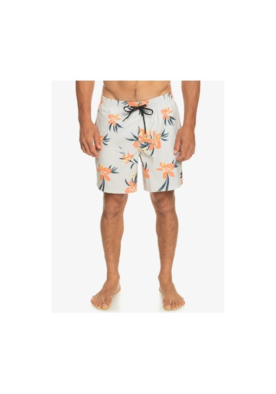 Quiksilver Eqyjv04002-wdw6 Mix 17 M Jamv Erkek Deniz Şortu 001