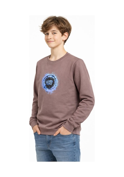 Baglan Erkek Çocuk Ön Arka Baskılı Sweatshirt Bgl-st05230 Vizon