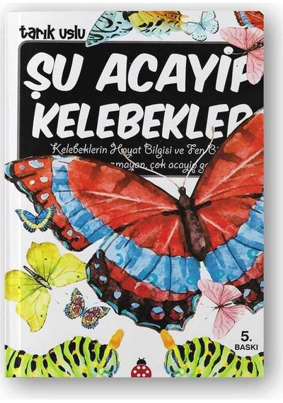 Şu Acayip Kelebekler N11.99