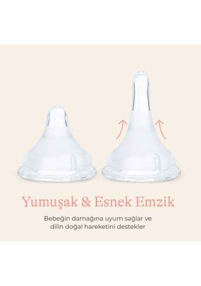 Lansinoh 240 ML X 2 Pp Biberon Seti