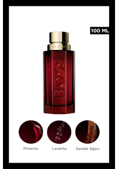 The Scent Elixir Parfum 100 Ml Erkek Parfüm Aromatik